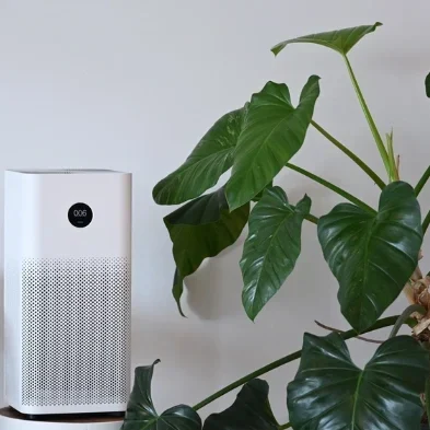 Indoor air quality Indoor air quality